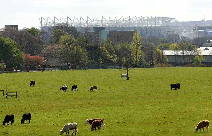 saturday roundup: St James Park
