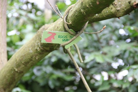 Sign in tree: eggs this way