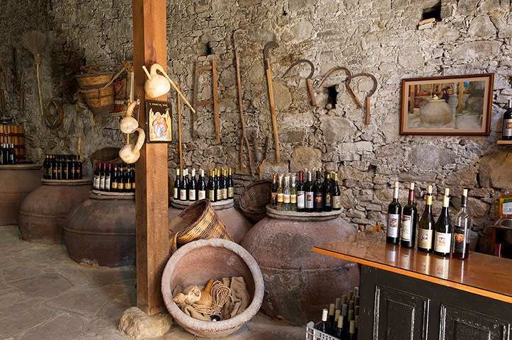 Cyprus TB gallery: Cyprus TB: wine shop in southern Cyprus