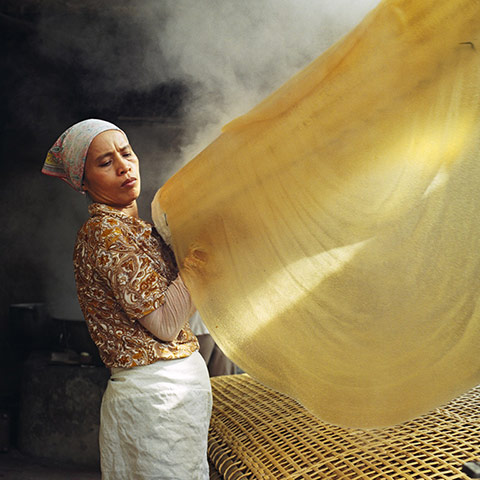 PInk Lady: Overall Winner