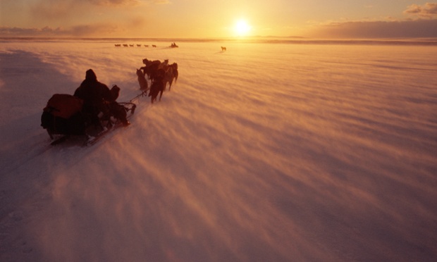 Chukchi hunters travelling from Uelen to Dezhnovka by dog sled on a windy November day. Uelen, Chukotka, Siberia.