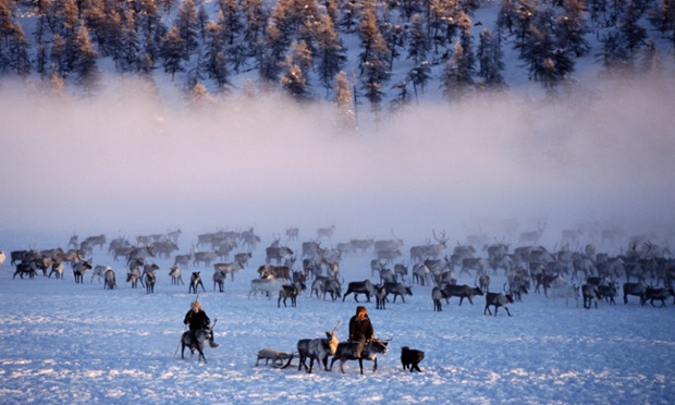 E'ven herders with their reindeer at their winter pastures near Verkhoyansk. Yakutia, Siberia,