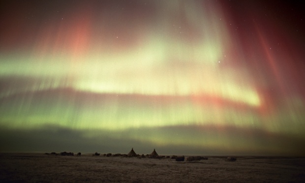 Northern lights, Aurora borealis, over a Nenets reindeer herders camp. Yamal Peninsula, W.Siberia, Russia