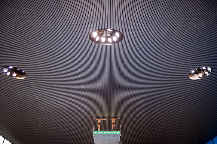 tom jenkins diving: The Mexican team of Ivan Garcia and German Sanchez 