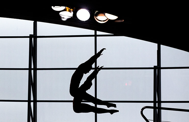 tom jenkins diving: The Mexican team of Ivan Garcia and German Sanchez