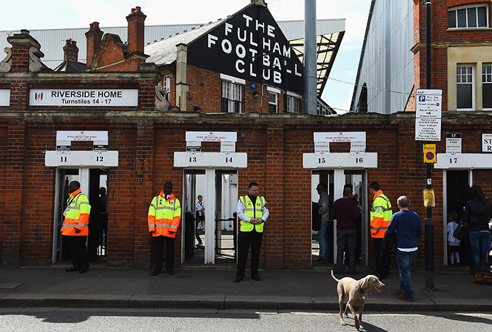 saturday roundup: Dog outside fulham