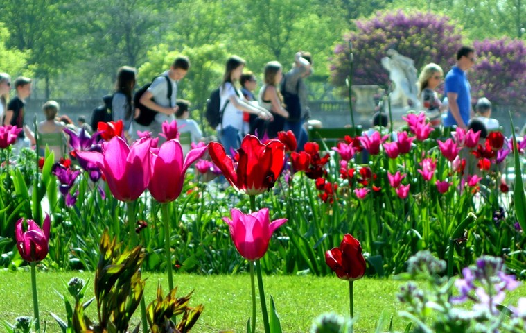 April photo competition: aris is truly beautiful in the springtime