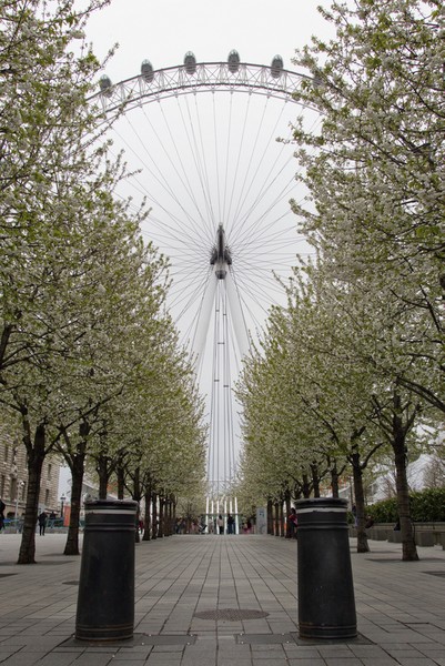 April photo competition: London Eye