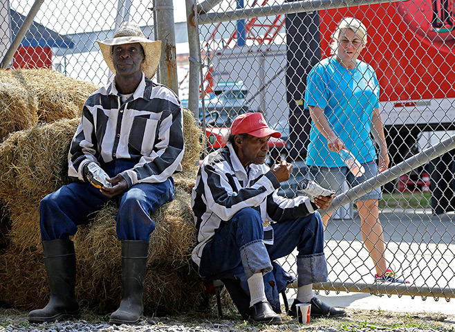 FTA: Angola Prison Rodeo: Prisoners participating in the rodeo sit behind a fence. Thousands of other