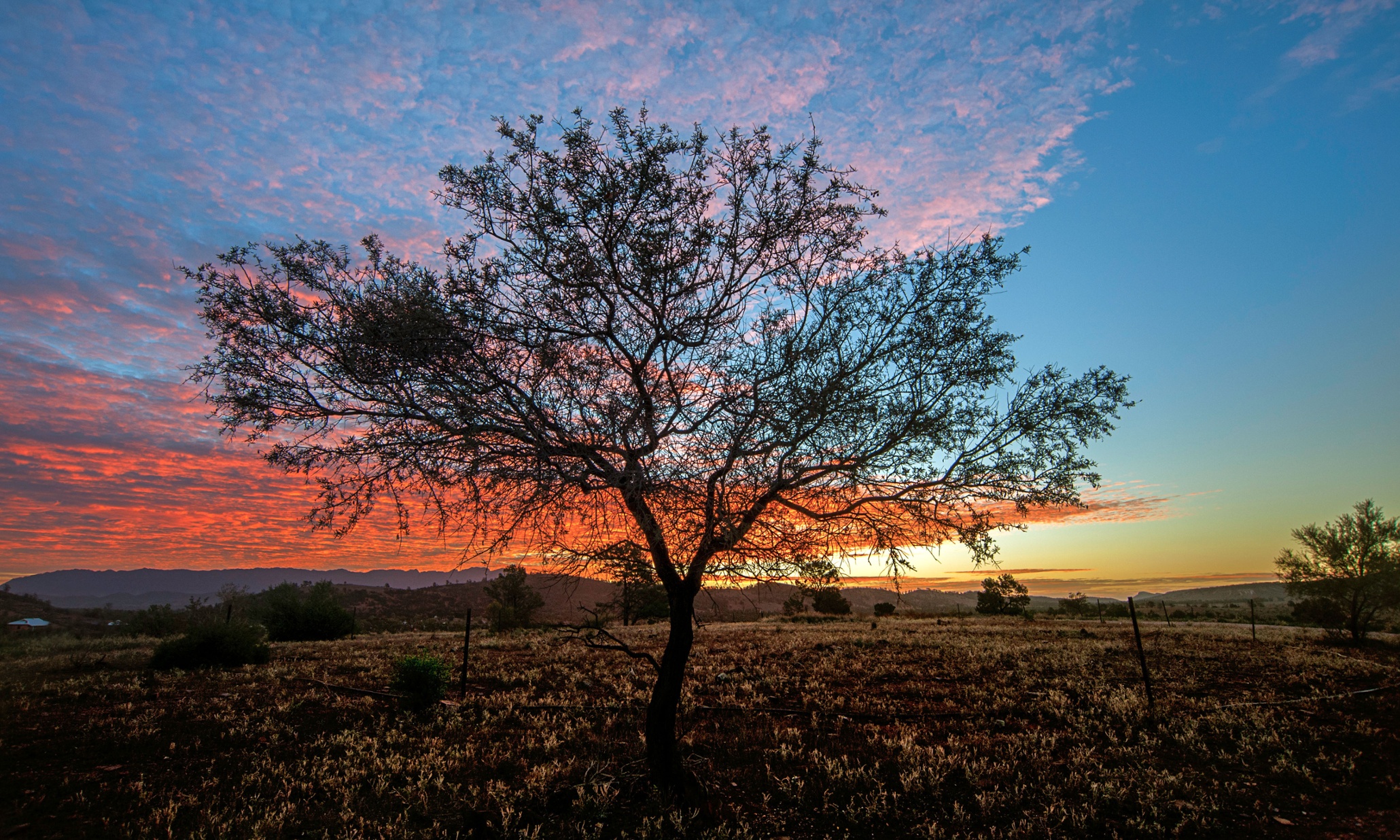 mkparkdesign: Climate Change Landscape Design