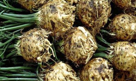 Celeriac … instead of potatoes?