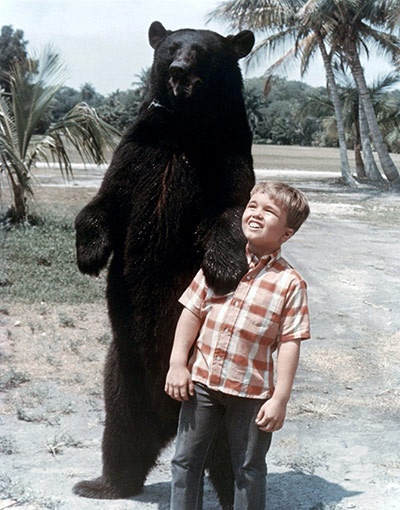 Readers: Gentle Ben