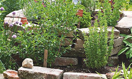 Gardens: herbs