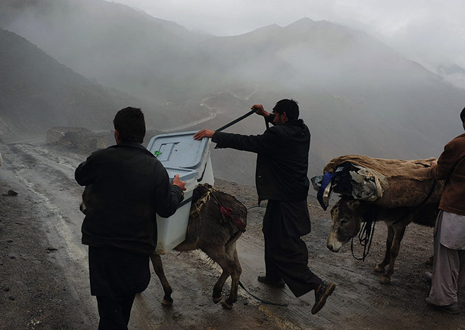 Afghan: A donkey carries election materials
