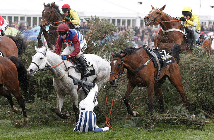 aintree day 3: Nick Scholfield crashes to the ground