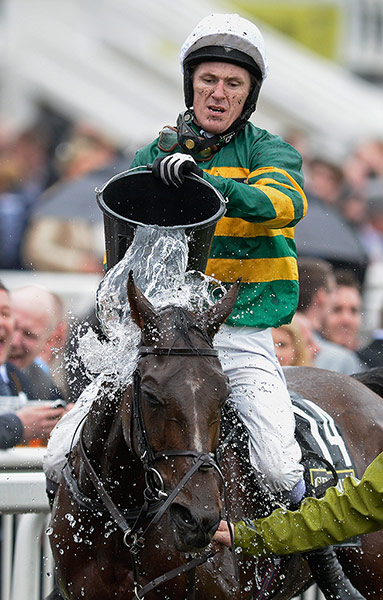 aintree day 3: AP McCoy tries to cool his horse Double Seven 