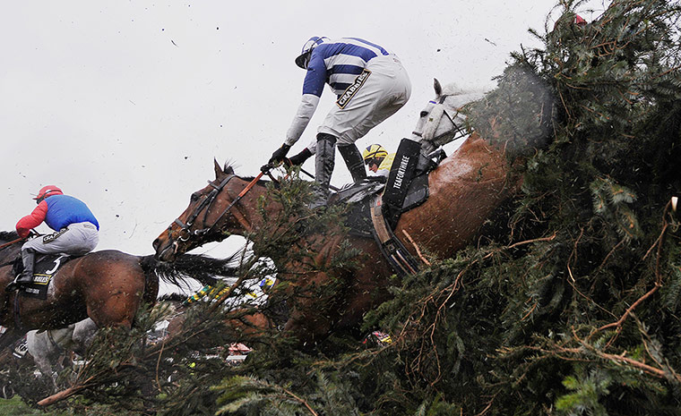 aintree day 3: Nick Scholfield is unseated from the favourite Teaforthree