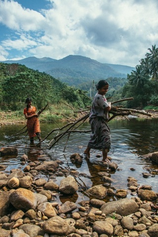 Women collecting wood in the hills around Thiruvananthapuram.