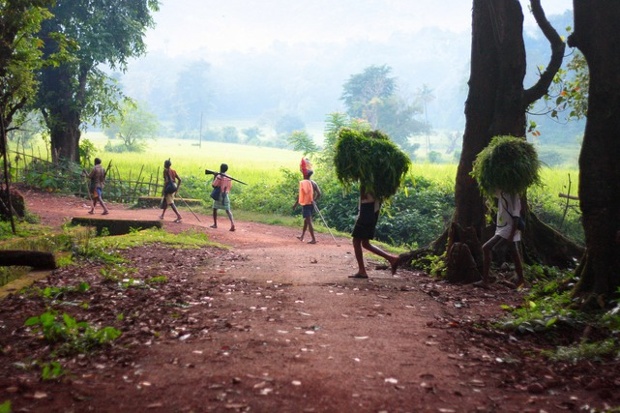 Men returning from a full day of hunting and farming in Kothigao, Goa.