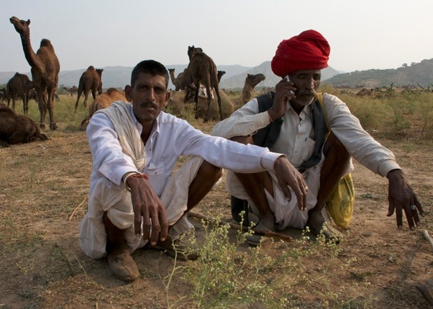 'The mobile phone is ubiquitous. Here at the Pushkar camel fair.'
