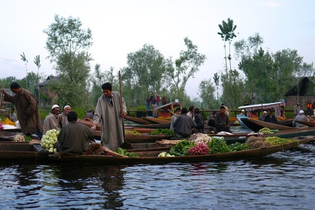 A rural scene in the city. 'Early every morning vegetable and flower sellers gather to offer their produce from narrow boats (shikara) on Dal Lake in Srinagar. Here a man accepts a wad of rupee notes for his last bunch of white radishes.'