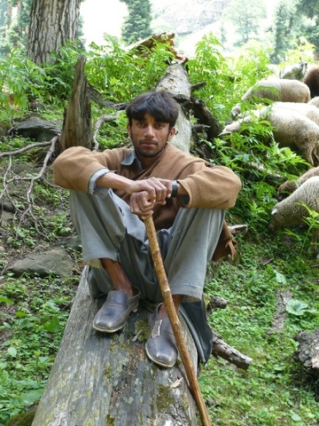 'Young shepherd, Kashmir.'