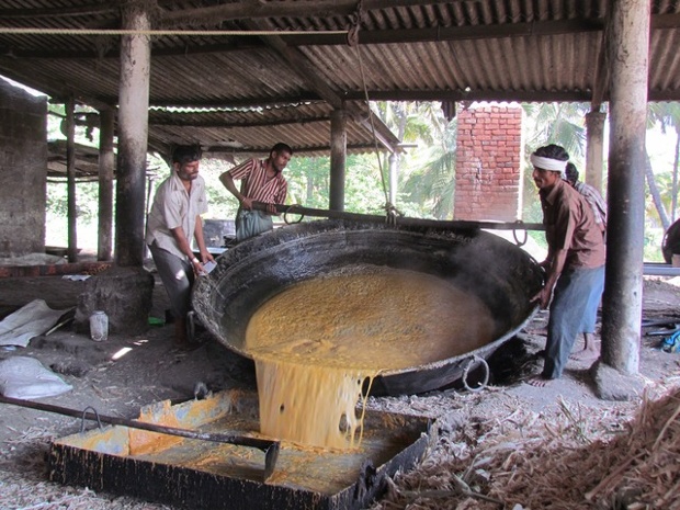 Jaggery (or Bella) is still manufactured in small scale workshops throughout the countryside all around the island of Srirangapatnam in South Karnataka. The purest form of sugar its still used in households, for manufacturing Indian sweets and in Chai.