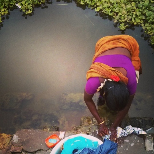 'Woman washing clothes in a village pond in Thiruvarur district in Tamil Nadu.'