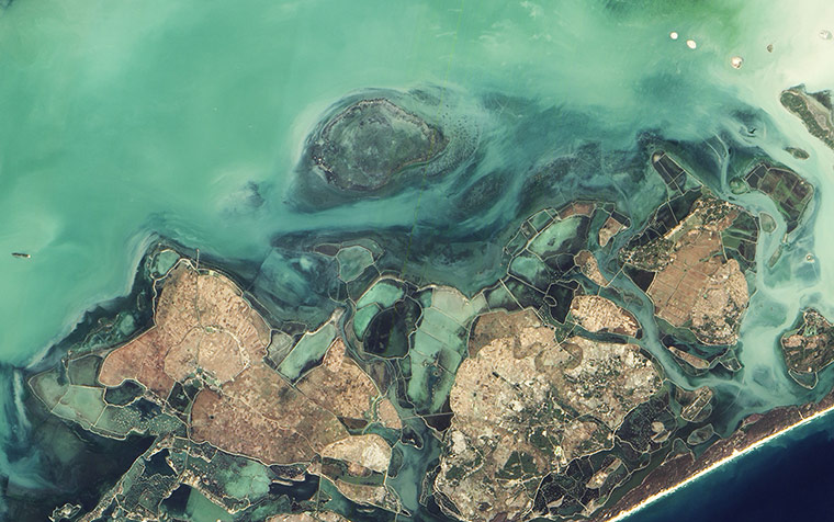 Satellite Eye on Earth: Chilika Lake