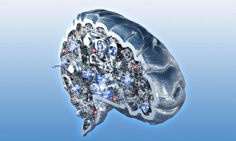 Cross section of artificial brain. 