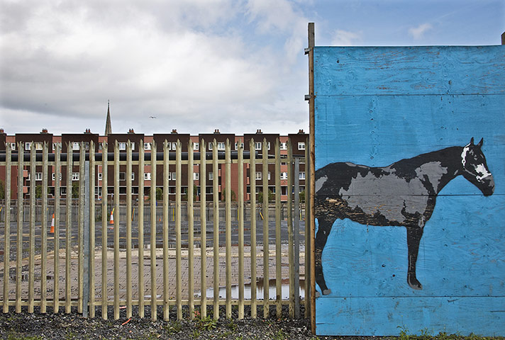 Your pictures of draw: Mark Granier: 'Horse-drawn fence, North Dublin.'