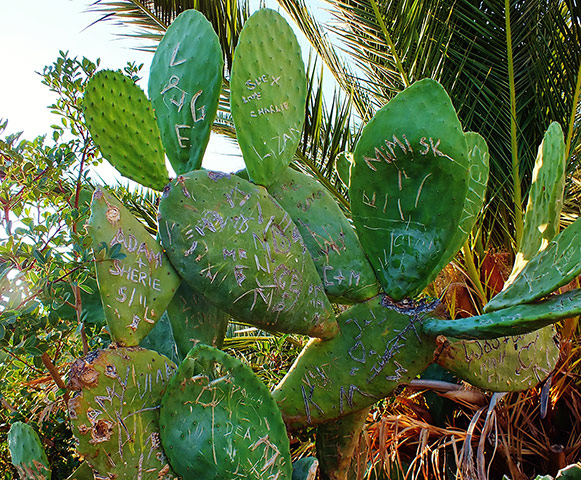 Your pictures of draw: Sarah Anderson-Edward