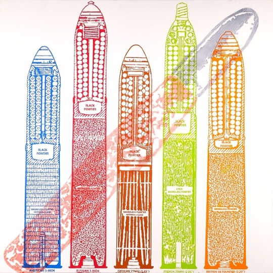 GuardianWitness fears assignment