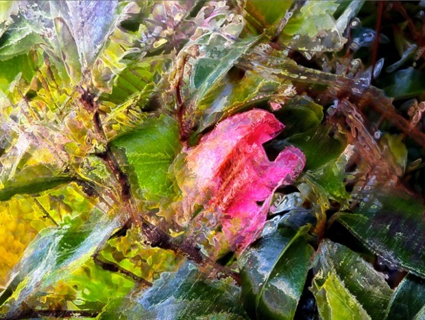 GuardianWitness fears assignment