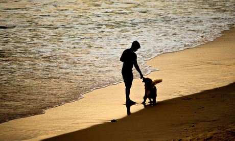 A nameless man befriends a dog after moving to the beach in Daniel Galera's intriguing novel.