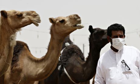 fears around spread of mers virus