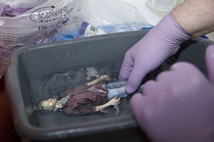 Tim Dowling 3D: 3D model of Tim Dowling made at iMakr