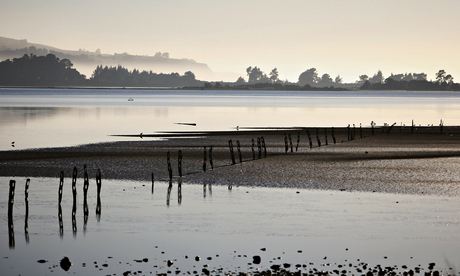 Winter Frost Covers Dunedin