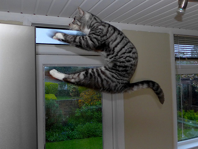 Your pictures: Trevor Pake