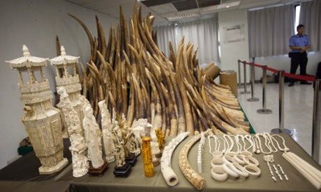Confiscated ivory in Hong Kong, China.