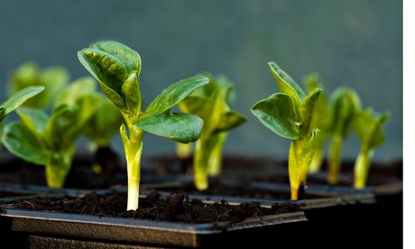 Root causes: when a complaint highlights a bigger problem it can be as powerful as a vote.