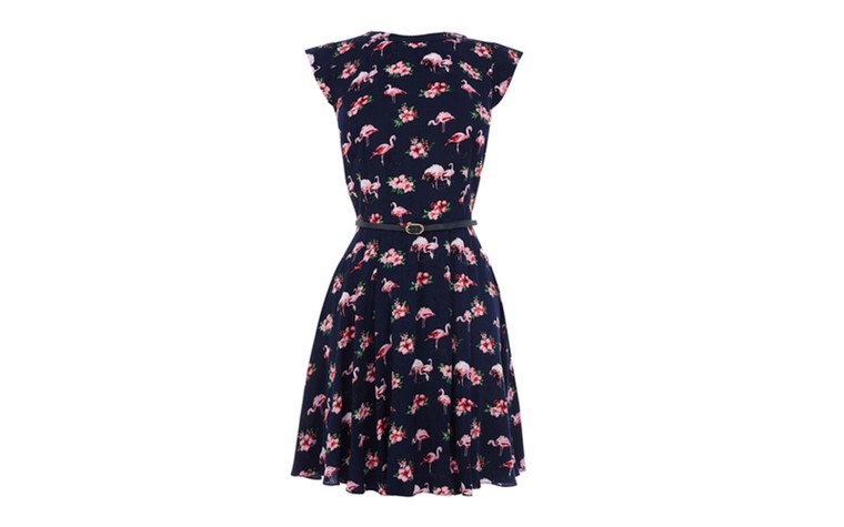 Summer dresses: Best summer dresses - flamingo print skater dress by Oasis