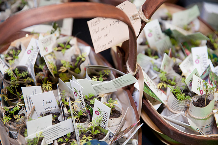 GSB awards gallery: GSB awards gallery: flowers by Organic Blooms