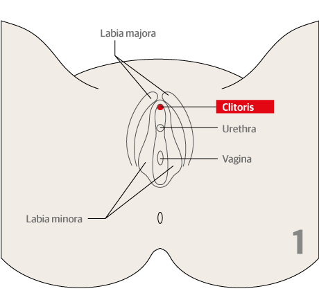 female genital mutilation male circumcision