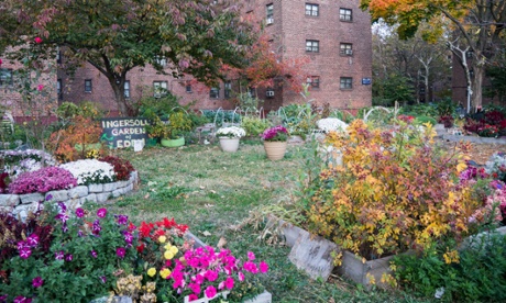 The Garden of Eden community project in Brooklyn, New York, where residents grow flowers and vegetables.