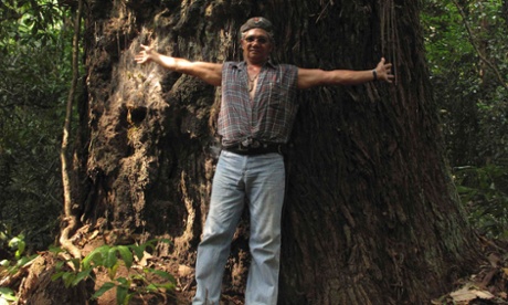 Amazon rainforest activist Jose Claudio Ribeiro da Silva poses in front of a tree at Praia Alta Piranheira settlement in this October 9, 2010 file photo. Silva, known as 