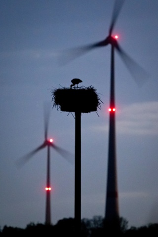 A stork stands in his nest amid turning wind turbines near Schoeneck, Germany, 15 April 2014.