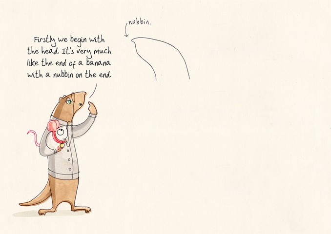 Weasel: Weasels2