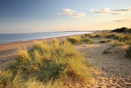 Dunwich Heath, Minsmere, Suffolk