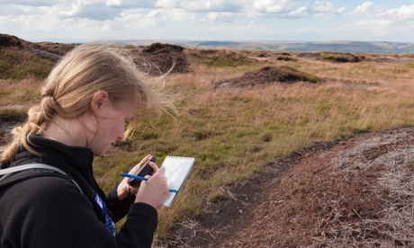 Notes on a peat bog
